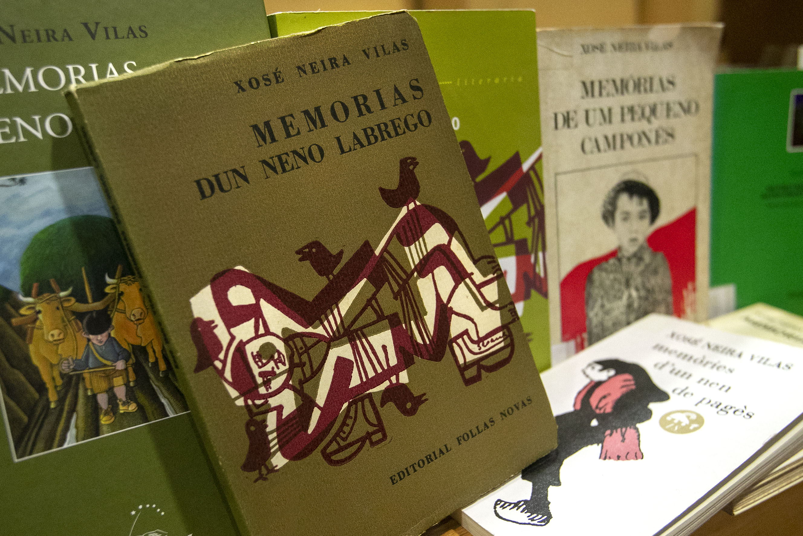 Memorias dun neno labrego' cumple 60 años como referente de la literatura  de nuestra tierra | EsGalicia