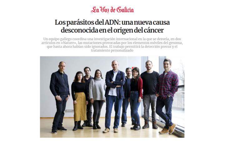 Equipo gallego investigador cáncer