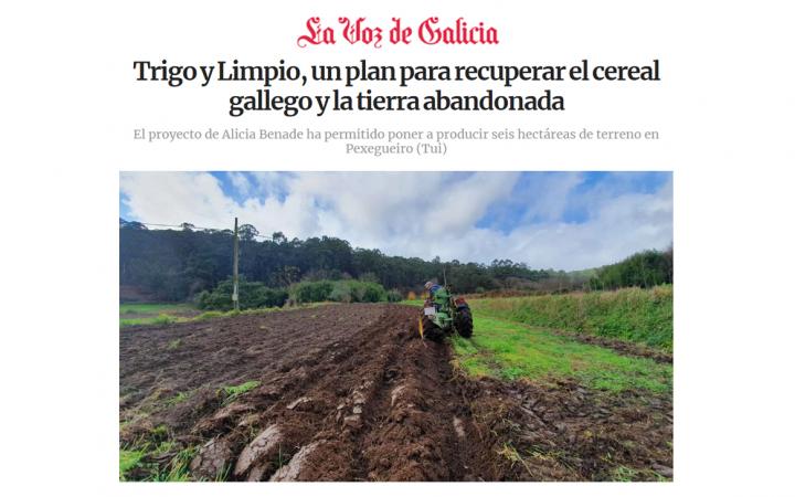 Trigo y Limpio, recuperación cereal Galicia