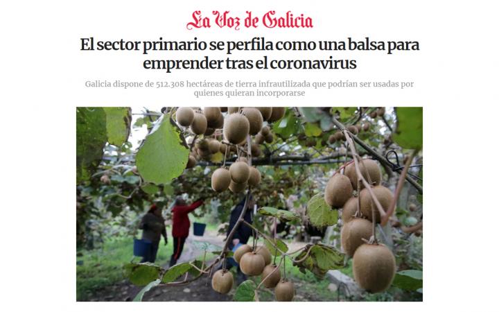Sector primario emprender Galicia