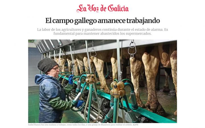 Labor campo gallego coronavirus