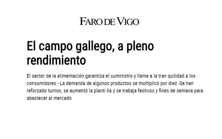 Campo gallego, pleno rendimiento