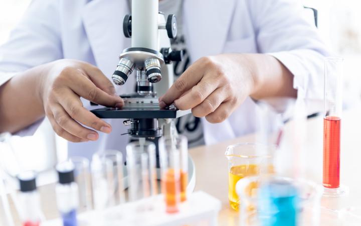 Investigador Galicia