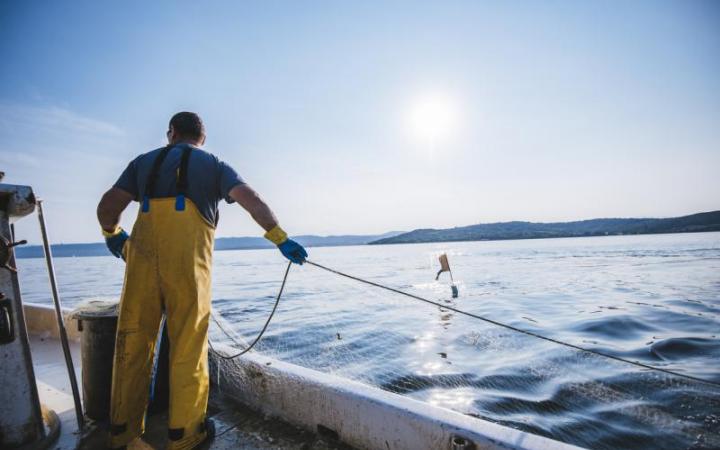 Sector pesquero Galicia