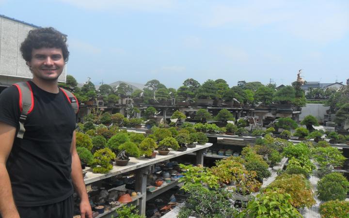 Escuela Taisho Japón Manuel Germade