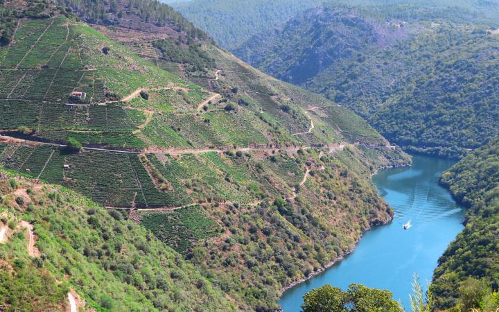 Ribeira Sacra, candidata a Patrimonio Mundial de la Humanidad
