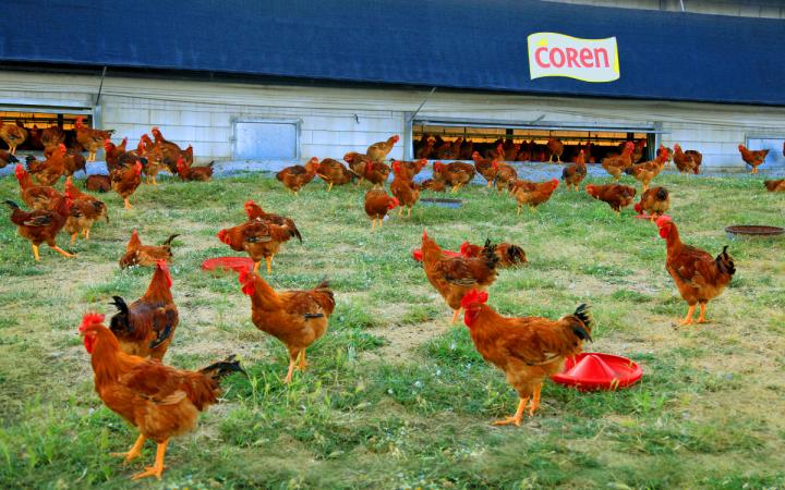 Foto de granja Coren Galicia