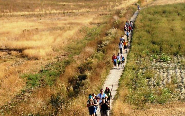 Camino Santiago