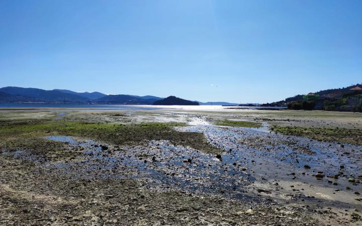Ría de Pontevedra a la altura de Poio