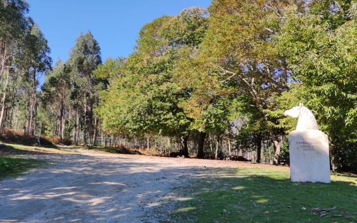 Coto de la rapa das bestas