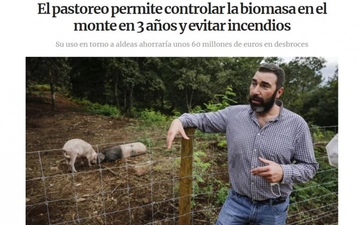 biomasa
