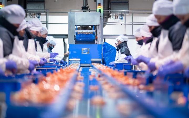 Exportaciones productos gallegos