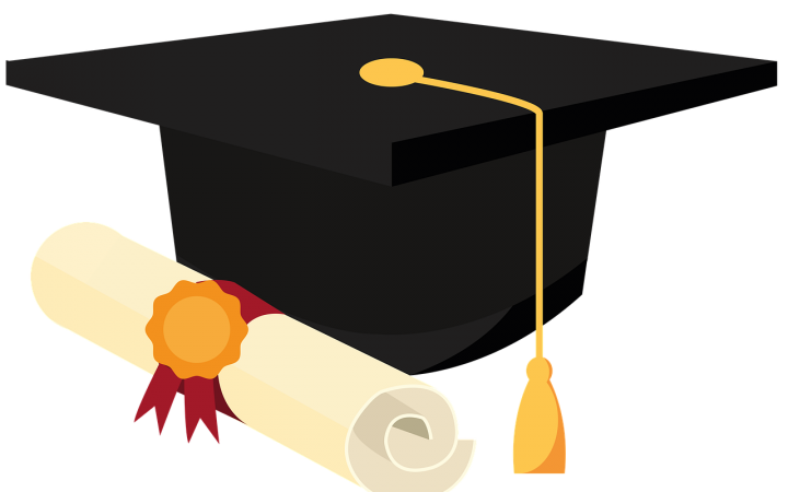 Universidad homologación