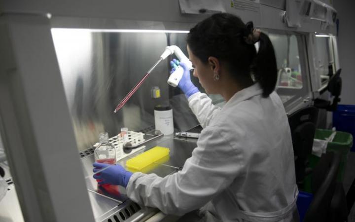 Investigador Galicia