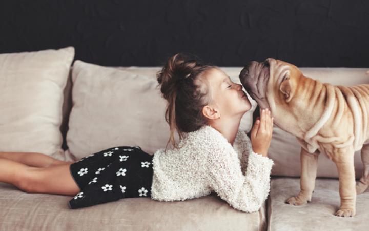 retorno a Galicia_tu mascota